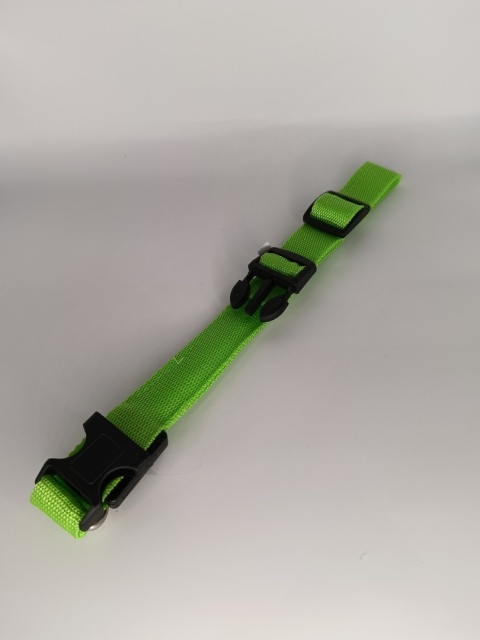 Obroża LED dla psa świecąca – zielona, regulowana 46–52 cm