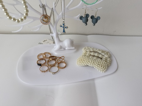 Organizer na biżuterię z miejscem na kolczyki i naszyjniki