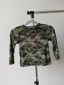 Bluzka dinozaury Primark 4-5 lat 110 cm zielona