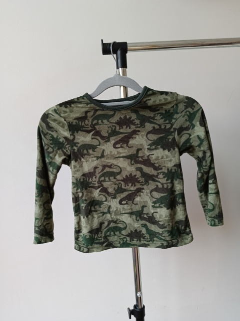 Bluzka dinozaury Primark 4-5 lat 110 cm zielona