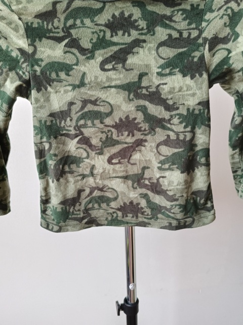 Bluzka dinozaury Primark 4-5 lat 110 cm zielona